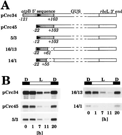 FIG. 5