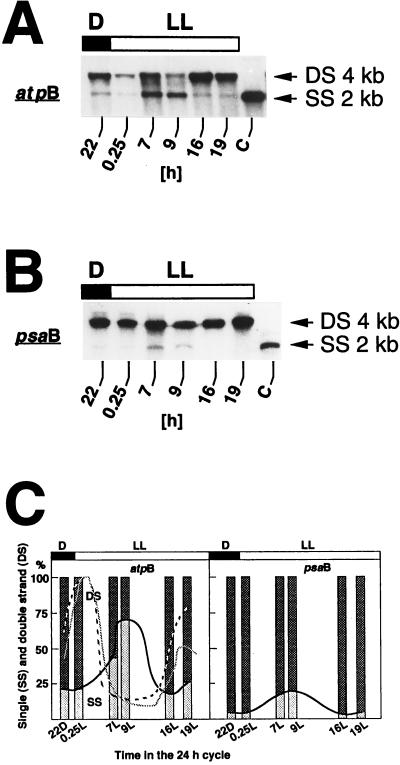 FIG. 3