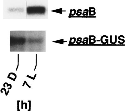 FIG. 6