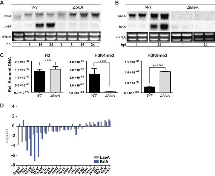 FIG 6 