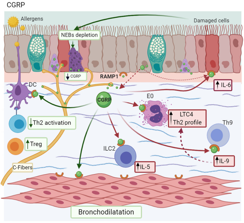 FIGURE 6