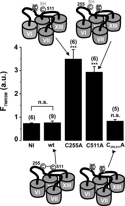 Figure 10.