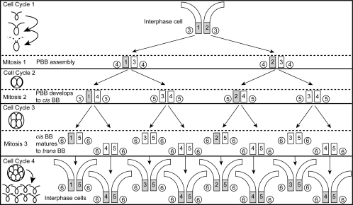 Figure 9.