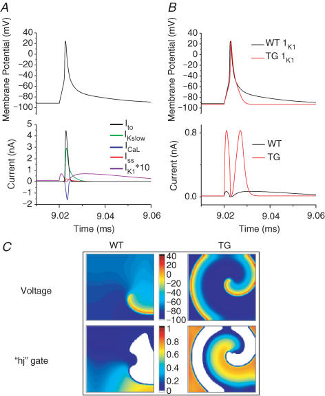 Figure 5