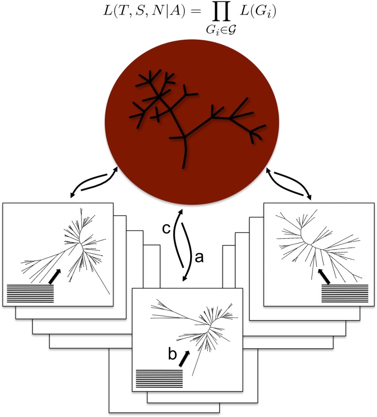 Figure 1.