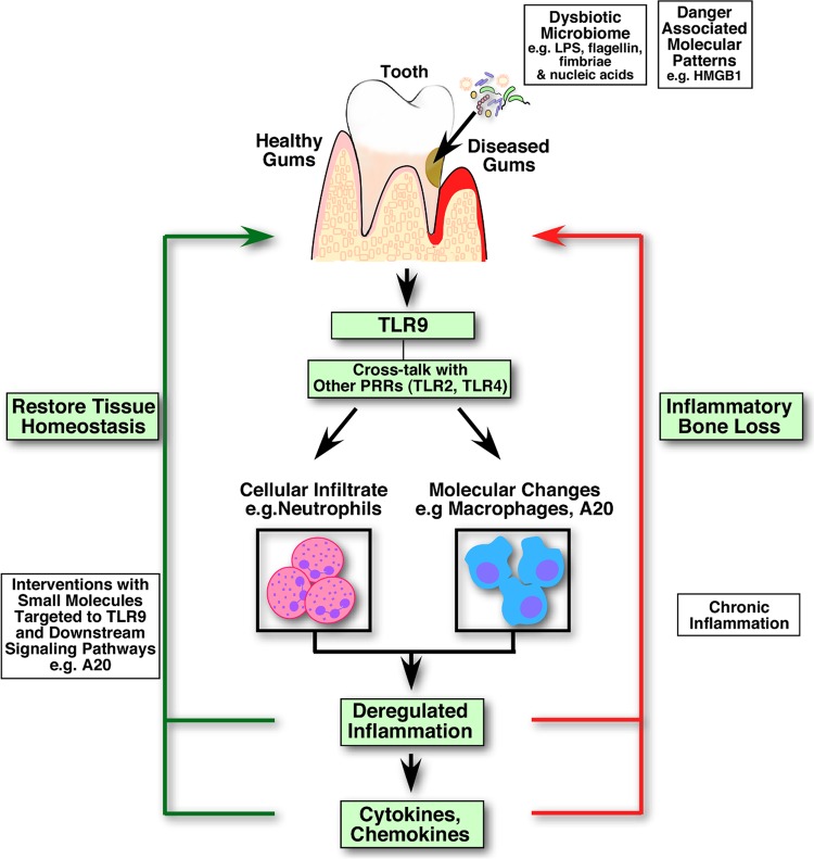 FIG 6