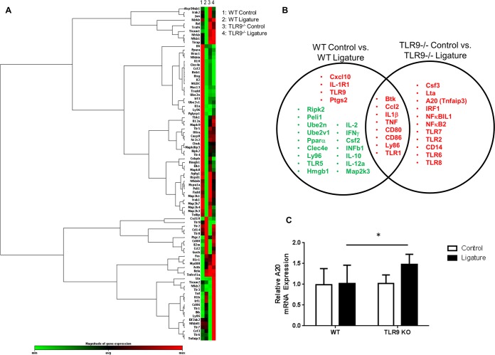 FIG 3