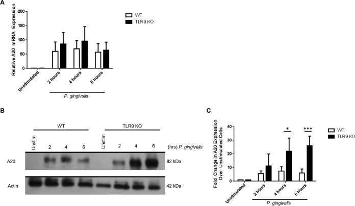 FIG 4