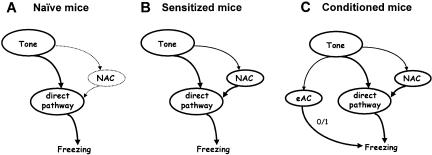 Figure 13.