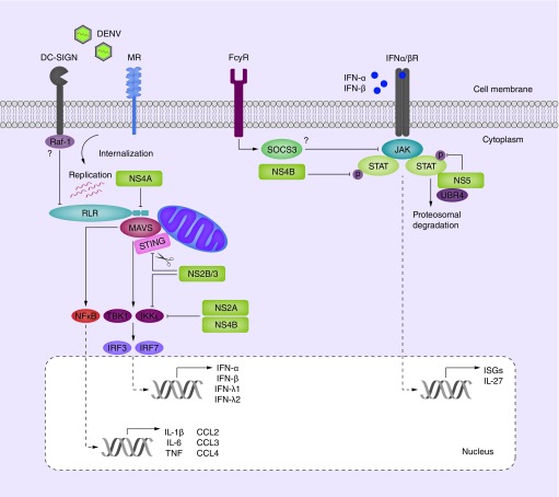 Figure 3. 