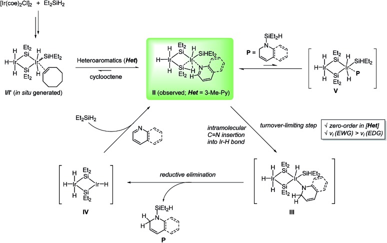 Scheme 6