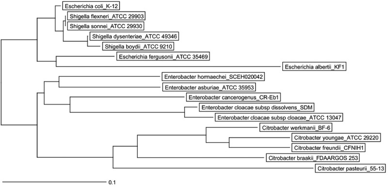 Figure 5.