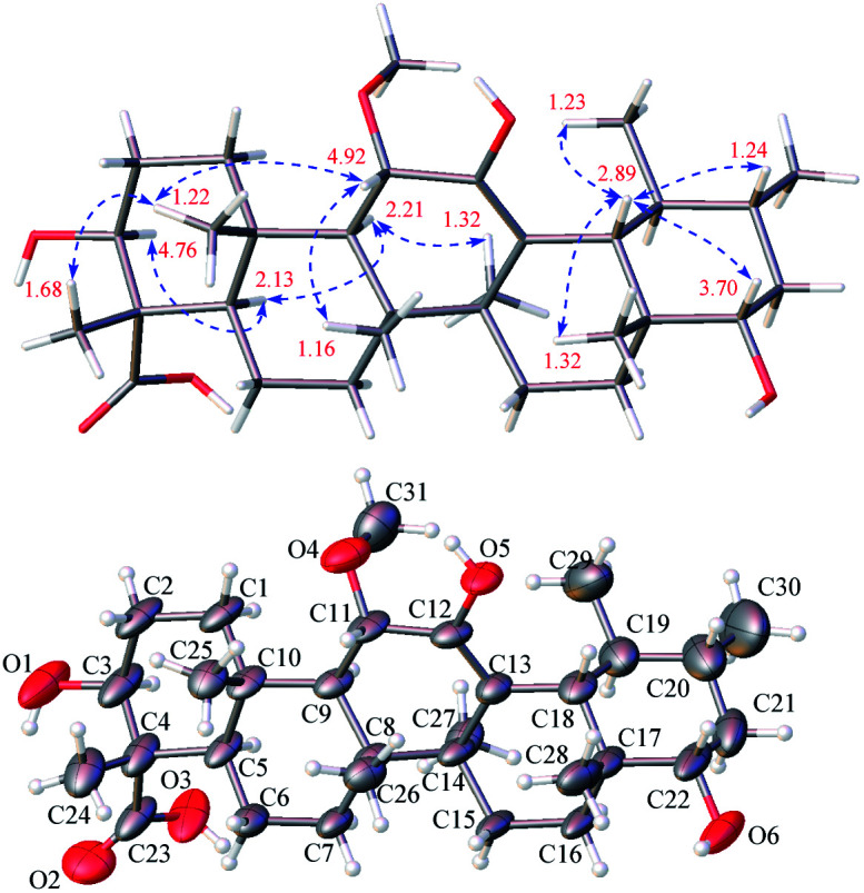 Fig. 6