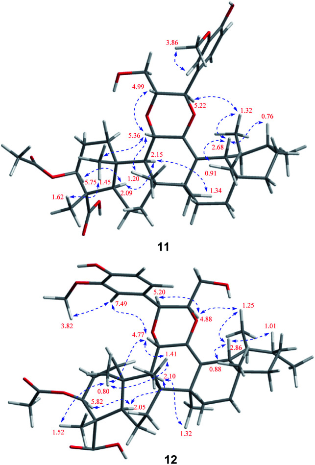 Fig. 8