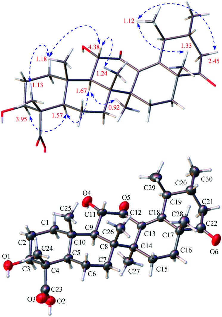 Fig. 4