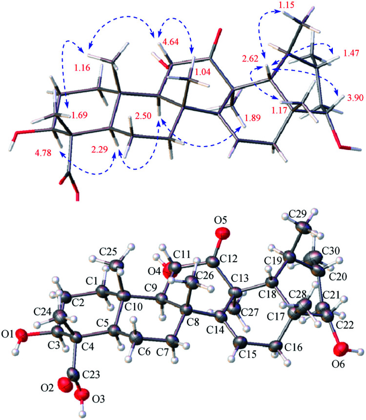 Fig. 3