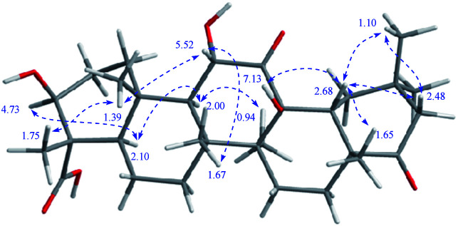 Fig. 10