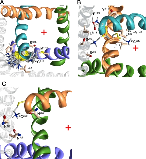 Figure 6.