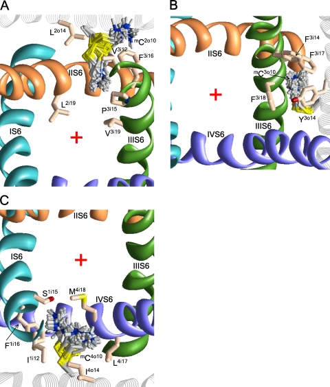 Figure 7.