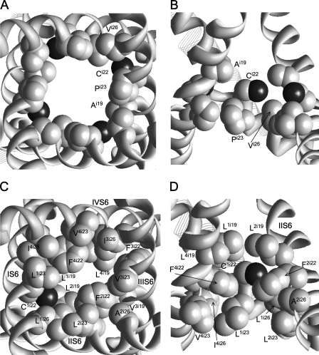 Figure 5.