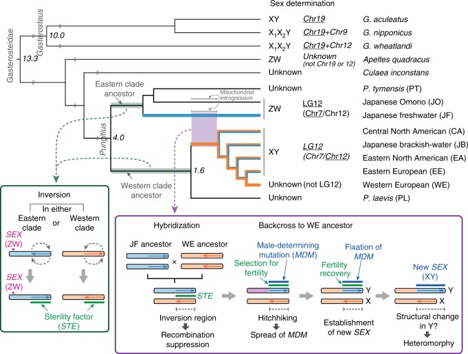 Fig. 6