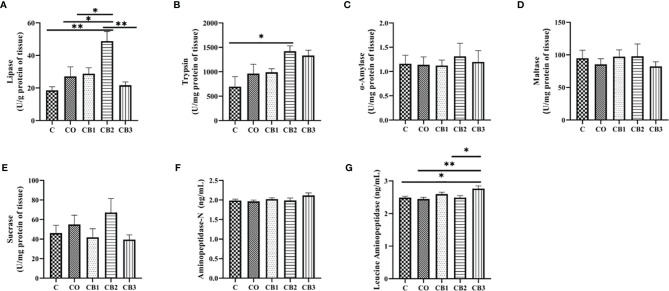 Figure 4