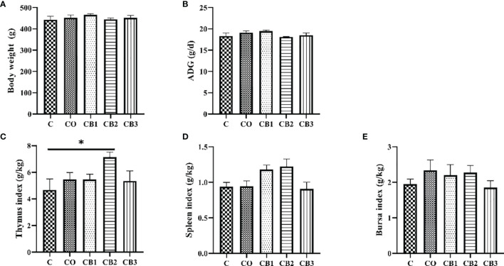 Figure 1