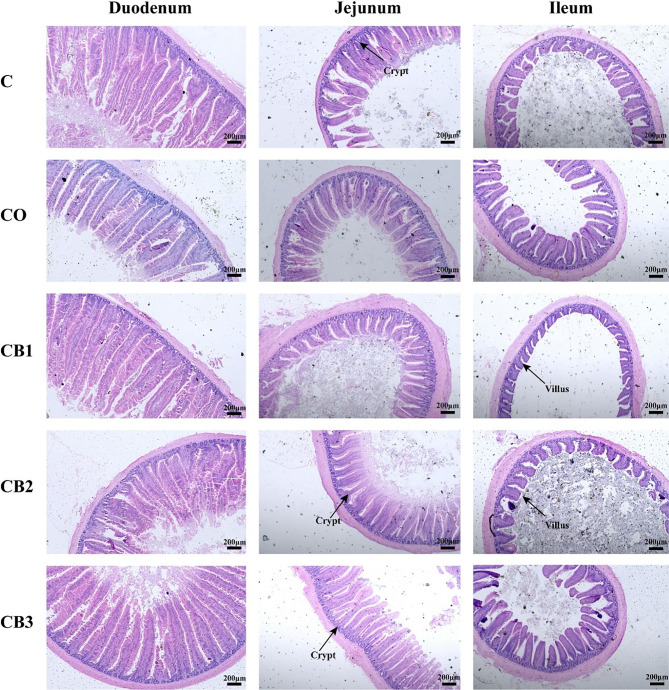 Figure 2