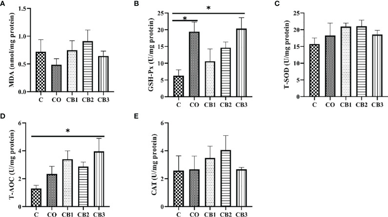 Figure 5