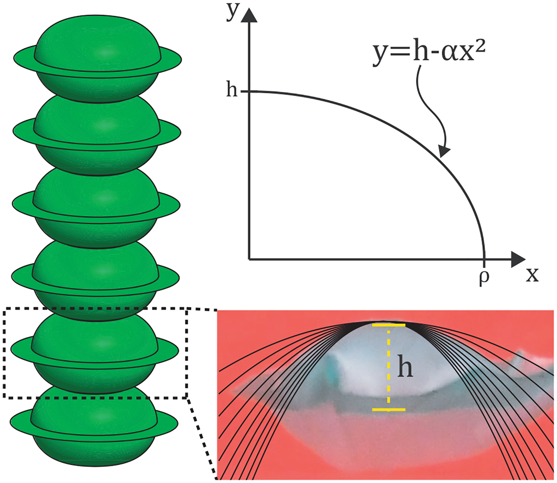 Figure 3: