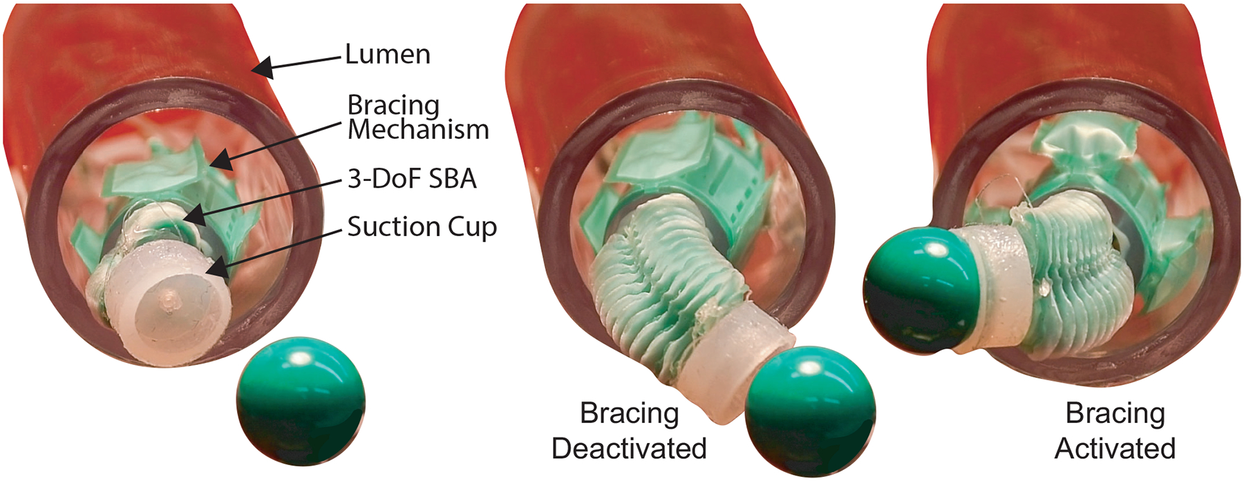 Figure 11: