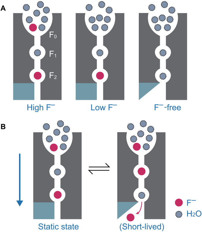 Fig. 6.