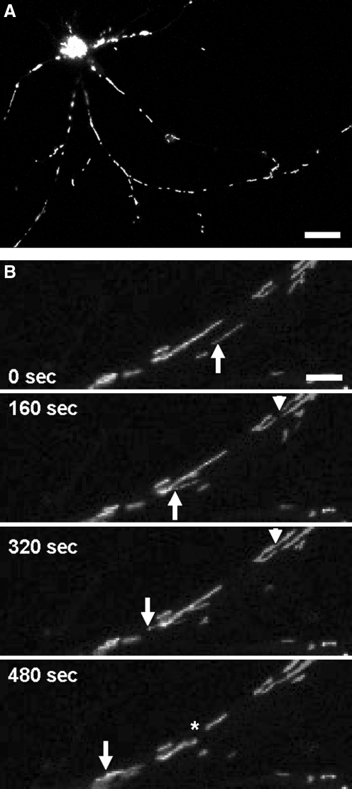 FIG. 3.