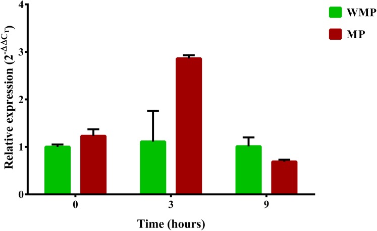 Figure 5