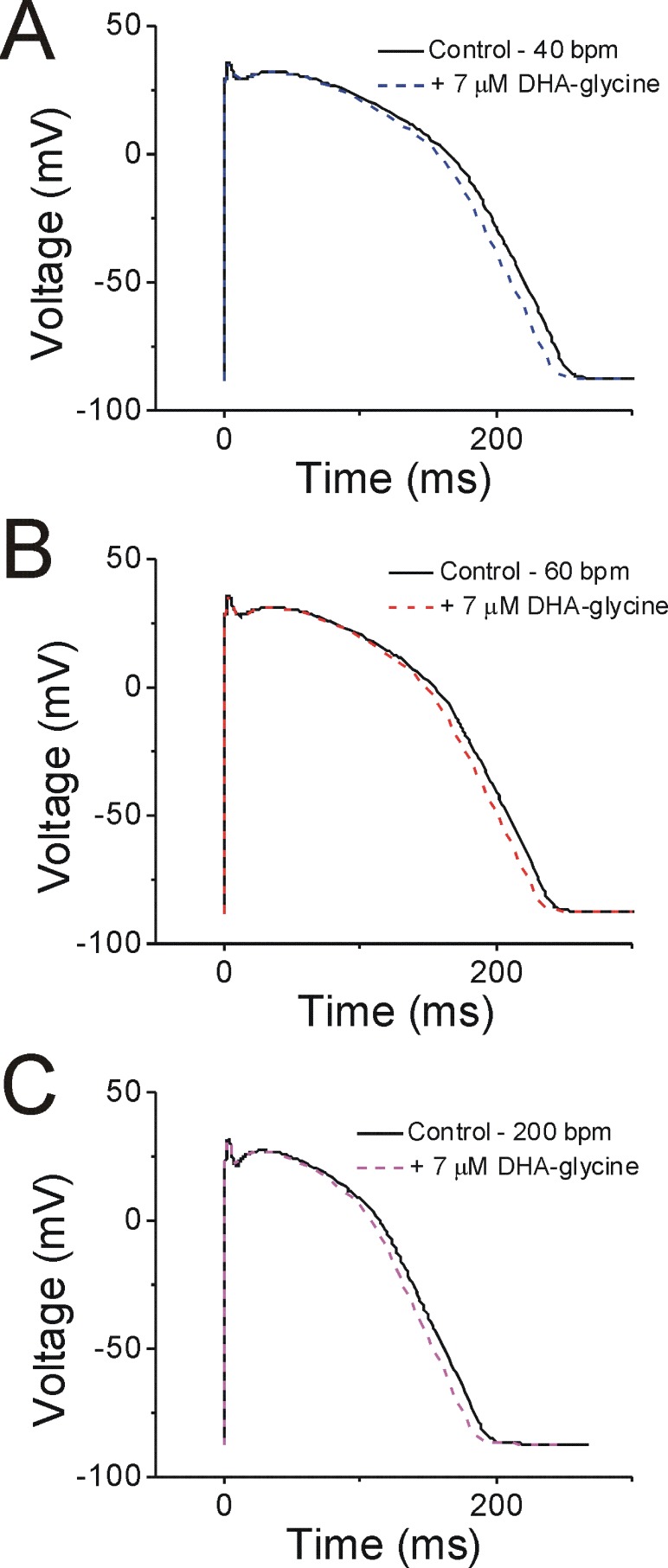 Figure 7—figure supplement 1.