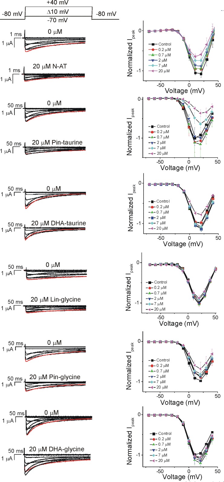 Figure 4—figure supplement 2.