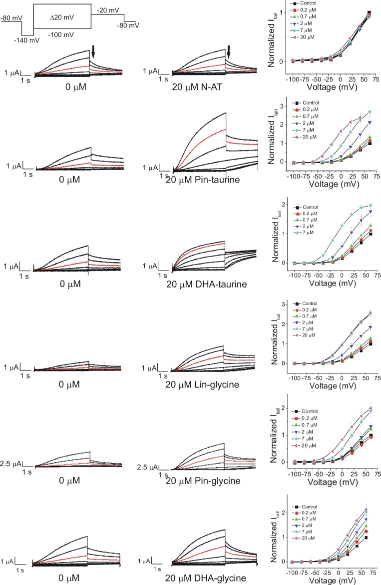 Figure 4—figure supplement 1.