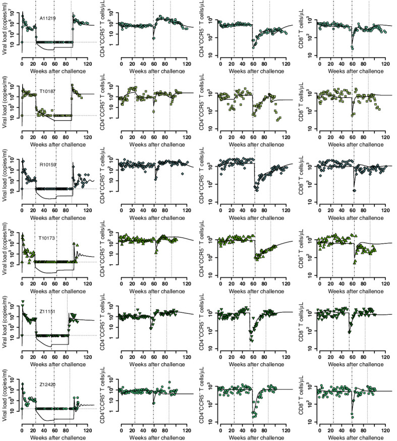 Figure 5—figure supplement 3.