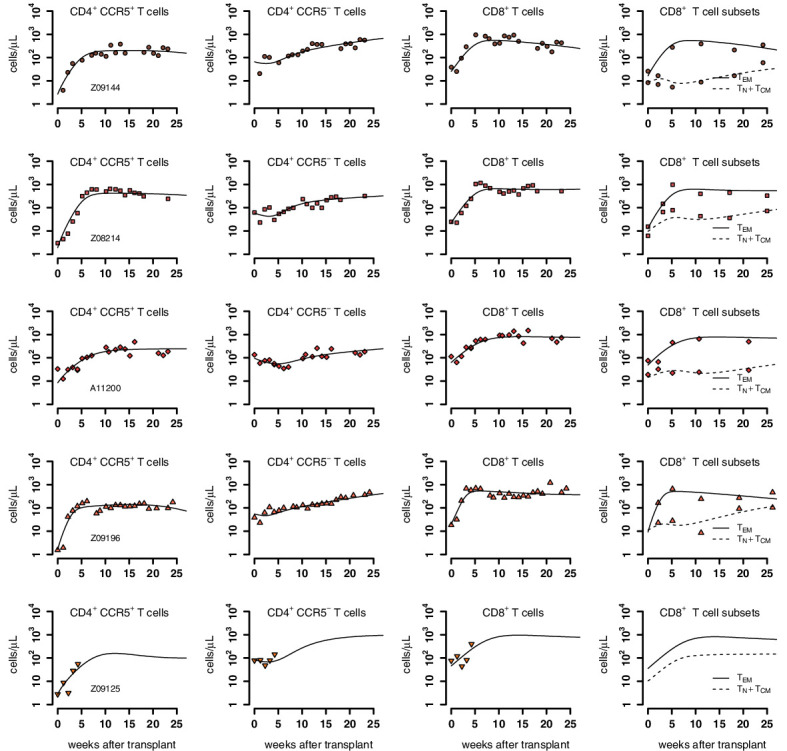 Figure 3—figure supplement 2.