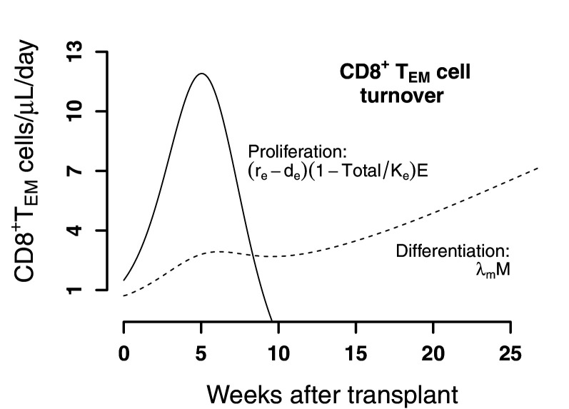 Figure 3—figure supplement 4.