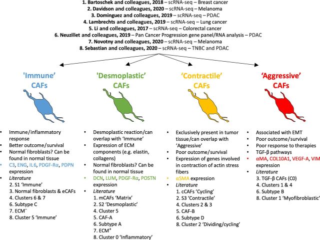 Figure 3. Proposed subpopulations of CAFs. The figure displays 4 broad subpopulations of CAFs in the TME as extracted from the literature: Immune, Desmoplastic, Contractile, and Aggressive. The immune and desmoplastic populations tend to be tumor inhibitory while the contractile and aggressive are more tumor supportive. The ‘immune’ subpopulation is associated with C3, ENG, IL6, PDGF-Rα, and PDPN expression. The ‘desmoplastic’ subpopulation is specifically characterized by a high expression of DCN, LUM, and POSTN as well as ECM components, such as elastin and collagen. The ‘contractile’ and ‘aggressive’ subpopulations are respectively defined by a high expression of factors involved in contraction of actin stress fibers or cell cycle (‘contractile’) and high expression of markers associated with EMT, such as vimentin or VEGF-A, or the TGF-β pathways (‘aggressive’). Both show the highest expression of α-SMA and are linked to poor patient survival/outcome. The studies used to highlight the existence of these broad CAF types are listed on top.