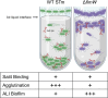 Fig 8