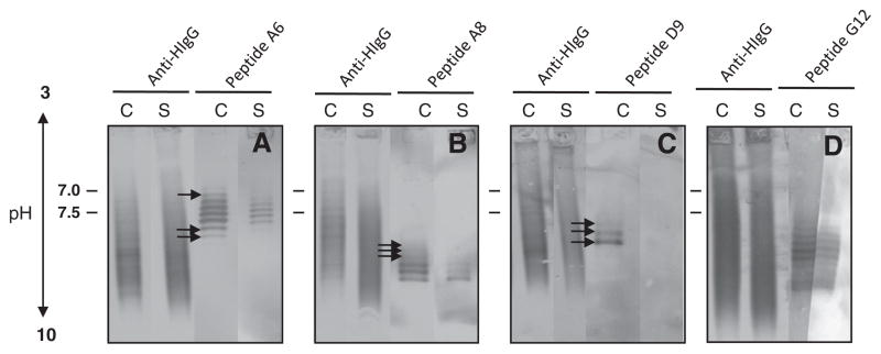 Fig. 5