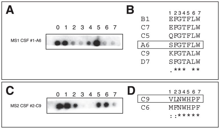 Fig. 7