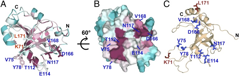 Fig. 4.