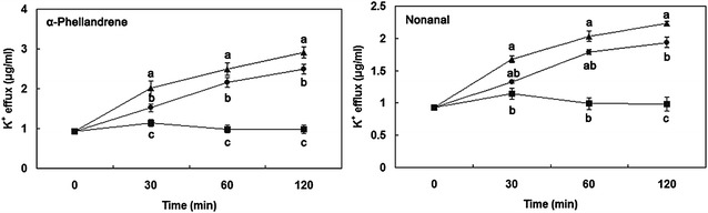 Fig. 5