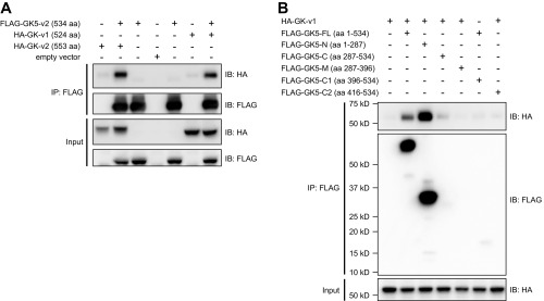 Fig. S6.