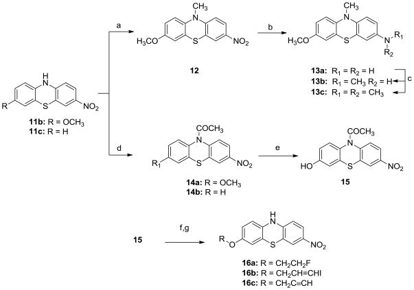 Scheme 3