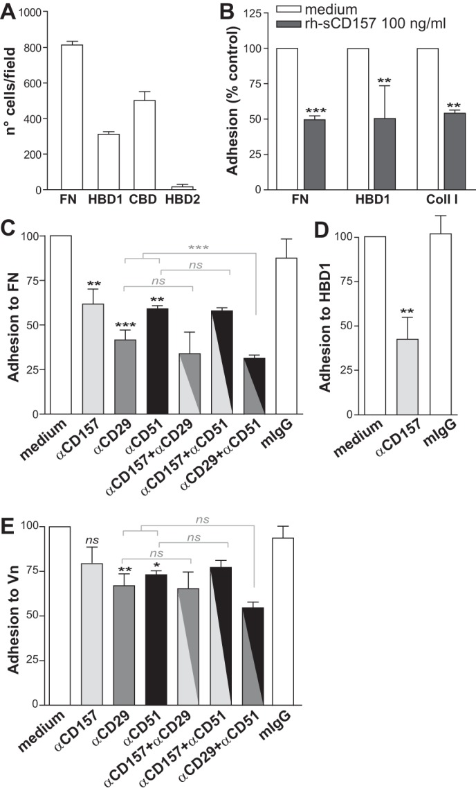 FIGURE 10.