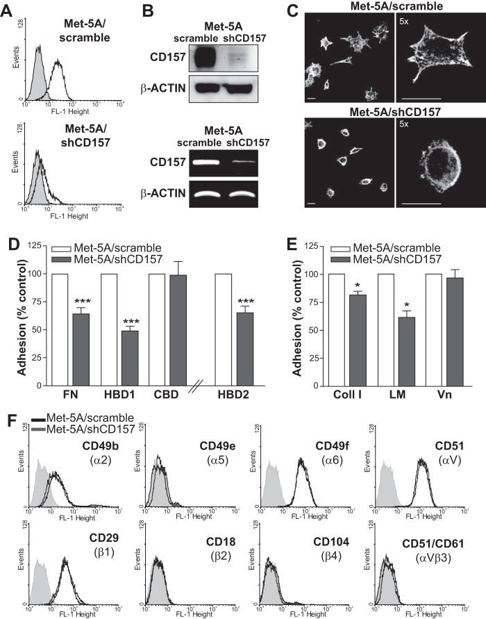 FIGURE 11.